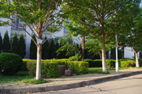昆明醫(yī)科大學海源學院——校園風光