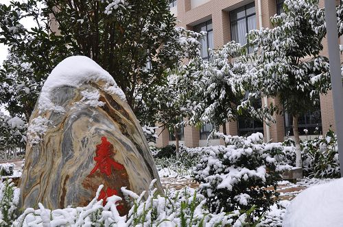 云南開放大學(xué)——校園風(fēng)光
